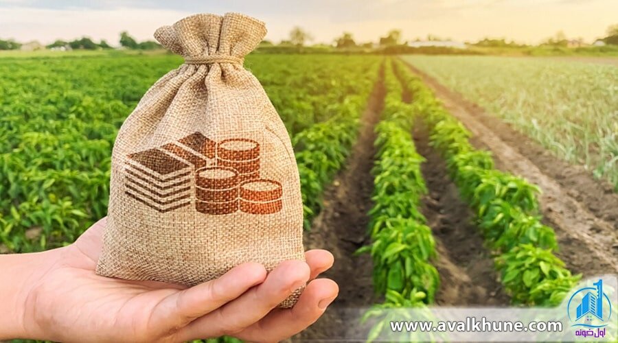 خرید زمین متراژ بالا در شمال برای یک سرمایه‌گذاری بهتر