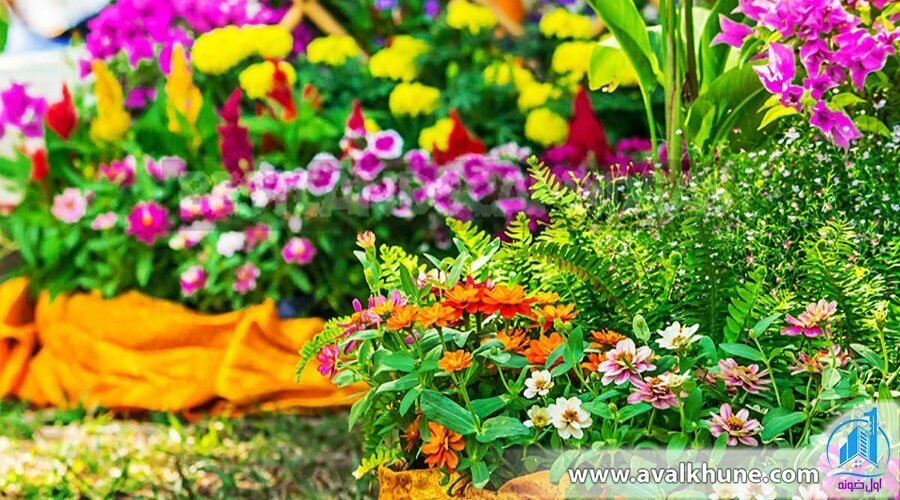 طراحی گل‌کاری فضای سبز حیاط ویلا به همراه ایده‌های جذاب