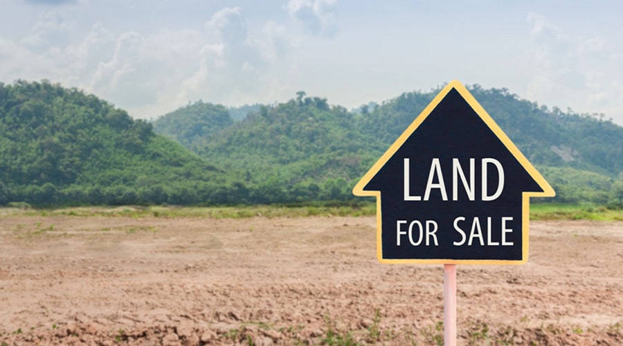 در شمال، کجا زمین‌‌های پرسود بخریم؟