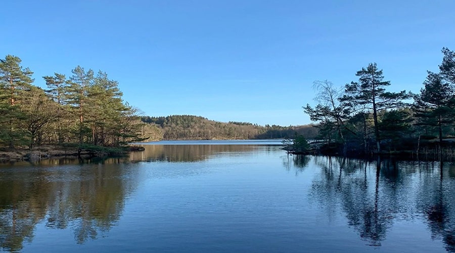 دریاچه الیمالات در نور – دریاچه‌ای شگفت انگیز در دل جنگل