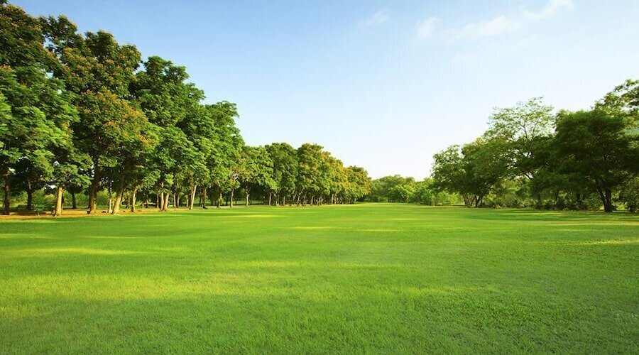 کاربری جنگلی جلگه‌ای چیست + نکات مهم در خرید ملک