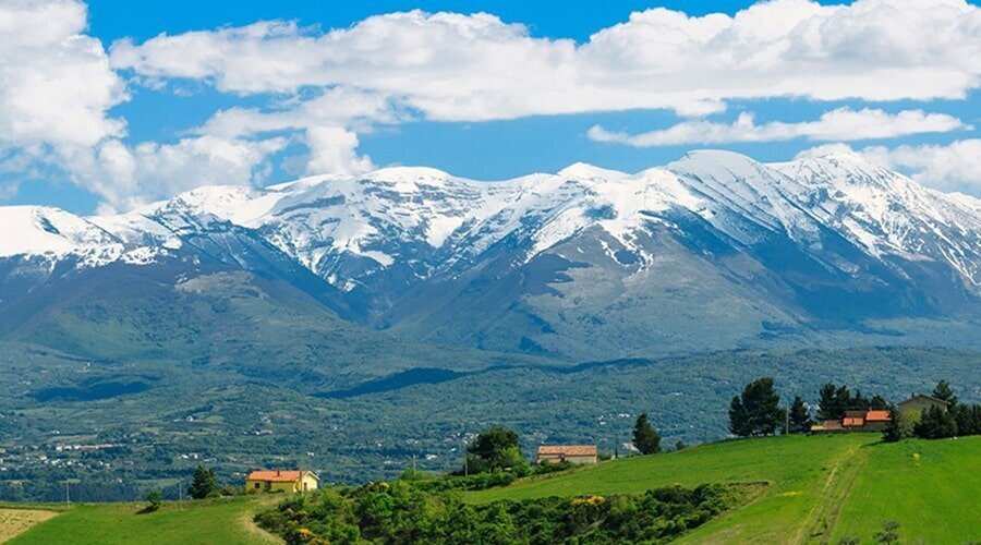 خرید زمین در شمال از 500 میلیون تا 1 میلیارد تومان