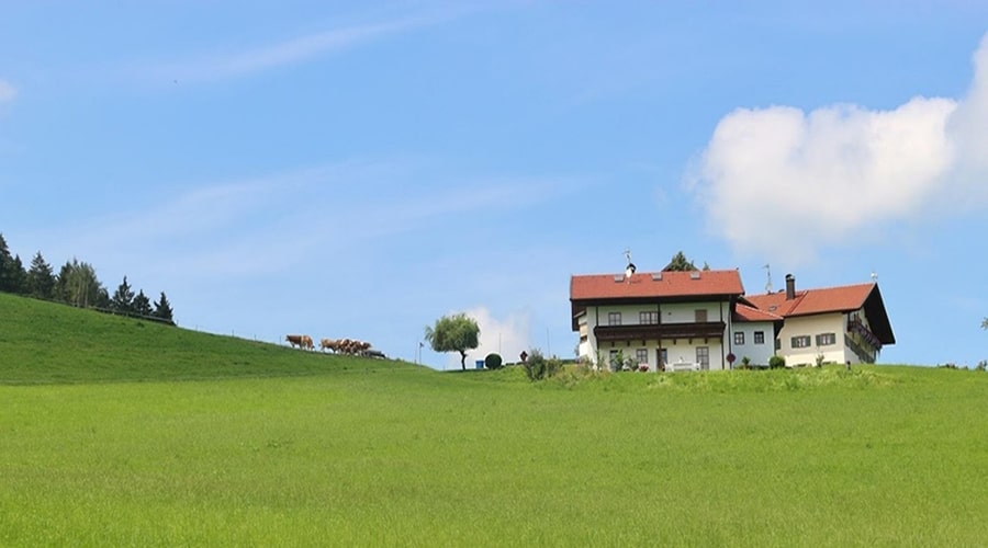 حکم ساخت‌ و ساز در کاربری کشاورزی و جریمه ساخت غیر مجاز