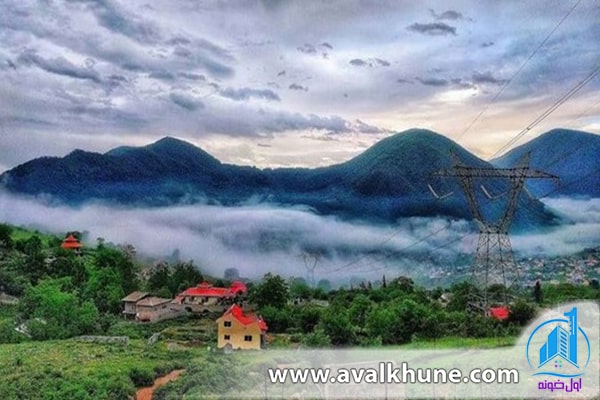 بوم رنگی طبیعی  چمستان