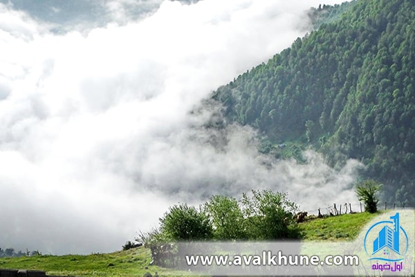 جاذبه‌های گردشگری روستای فیلبند مازندران