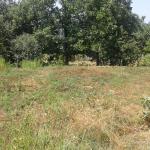 خرید زمین کوهستانی