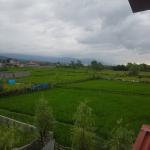 زمین شهرکی در محمودآباد