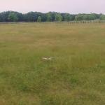 زمین متراژ بالا خوشقواره شهرکی