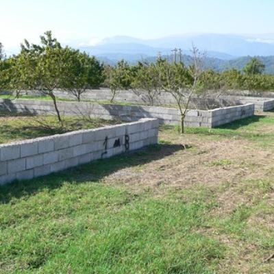 زمین در منطقه جنگلی