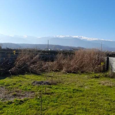 فروش زمین در منطقه ای برند در چمستان