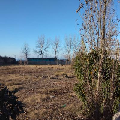 1500متر زمین ساحلی خط دریا سرخرود