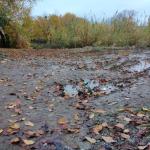 زمین در شهرک الهیه سرخرود