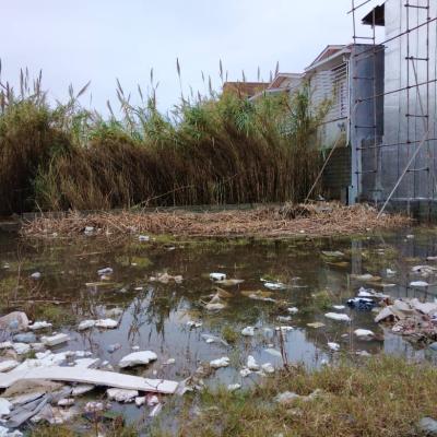 خرید زمین ارزان ساحلی در درویش آباد