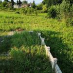 خرید زمین ارزان جنگلی