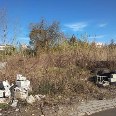 خرید زمین ارزان در سیاهکلا