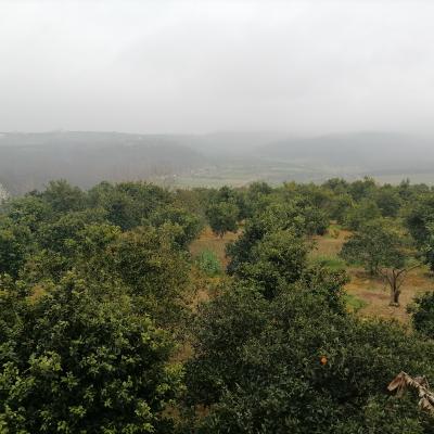 خرید زمین با معاوضه آپارتمان یا ماشین