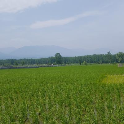 زمین شهرکی چسبیده به بافت