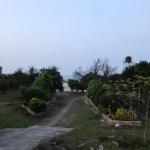 زمین ساحلی جاده به دریا