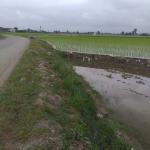 خرید زمین هکتاری الحاق به بافت