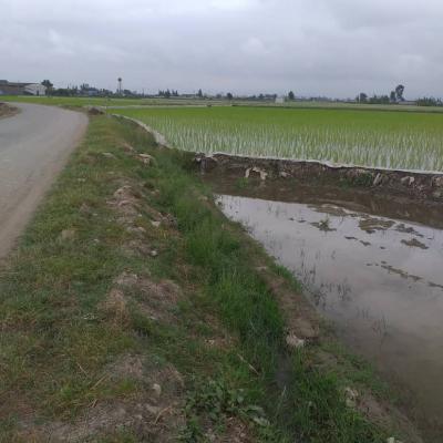 خرید زمین هکتاری الحاق به بافت