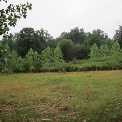 خرید زمین داخل بافت مسکونی