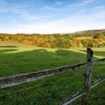 خرید زمین تجاری در مجاورت جاده اصلی