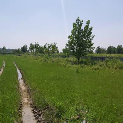 خرید زمین اقساطی در امیرآباد