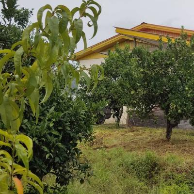 خرید باغ مرکبات چسبیده به بافت