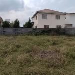 خرید سه پلاک زمین با موقعیت مکانی عالی