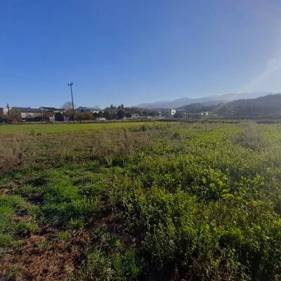 زمین شهرکی در امیرآباد با اقساط 12 ماهه