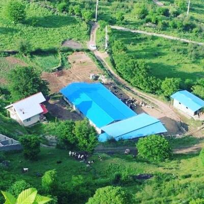 ویلا کوهستانی با سوله دامداری