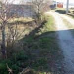 فروش زمین مسکونی در چالوس