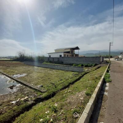 خرید زمین جنگلی داخل بافت همصفا