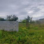 زمین سند دار با مجوز ساخت