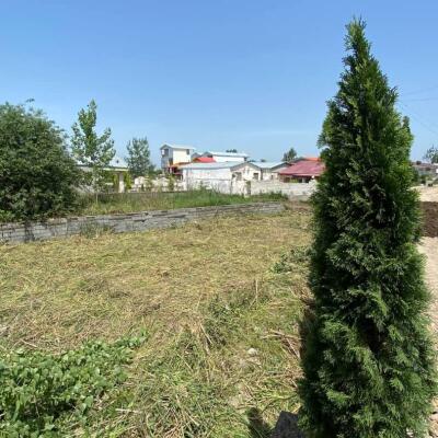 زمین قابل ساخت پلاک جنگلی