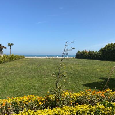 خرید زمین ساحلی در شهرک برند