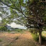 خرید زمین ساحلی در مزگاه نوشهر