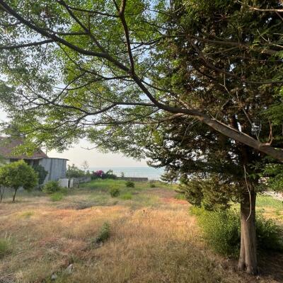 خرید زمین ساحلی در مزگاه نوشهر