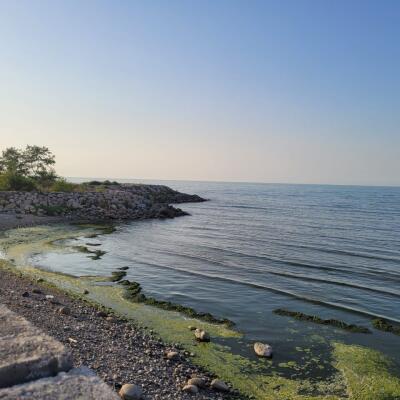 زمین ساحلی پلاک اول با امکان تهاتر