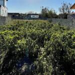 زمین مسکونی داخل بافت سند دار