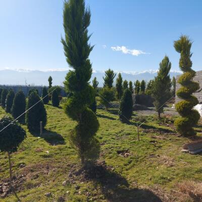 زمین مسکونی - سرمایه گذاری شهرکی