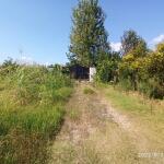 زمین باغی با قطعات کوچک جهت سرمایه گذاری