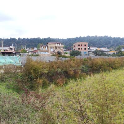 زمین جنگلی چسبیده به بافت قابل ساخت