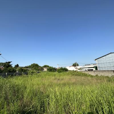 زمین 1000 متری مسکونی منطقه فانوس