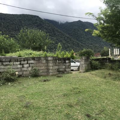 خرید زمین کنار جنگل