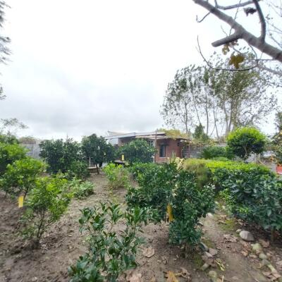 زمین مسکونی با یک سوئیت ۵۰ متری