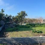 زمین ۳۲۰ متری بافت سنددار