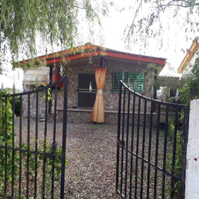 ویلا همکف جنگلی با قیمت مناسب