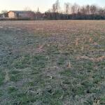 خرید زمین سرمایه گذاری اقساطی در تشبندان