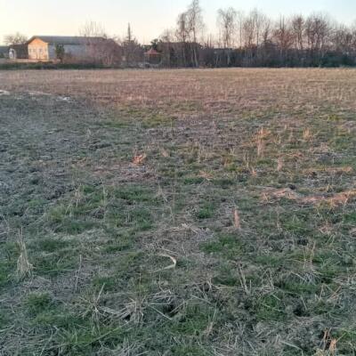 خرید زمین سرمایه گذاری اقساطی در تشبندان